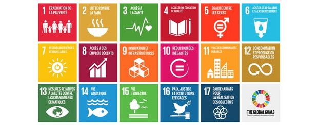 17 UN GLOBAL GOALS
